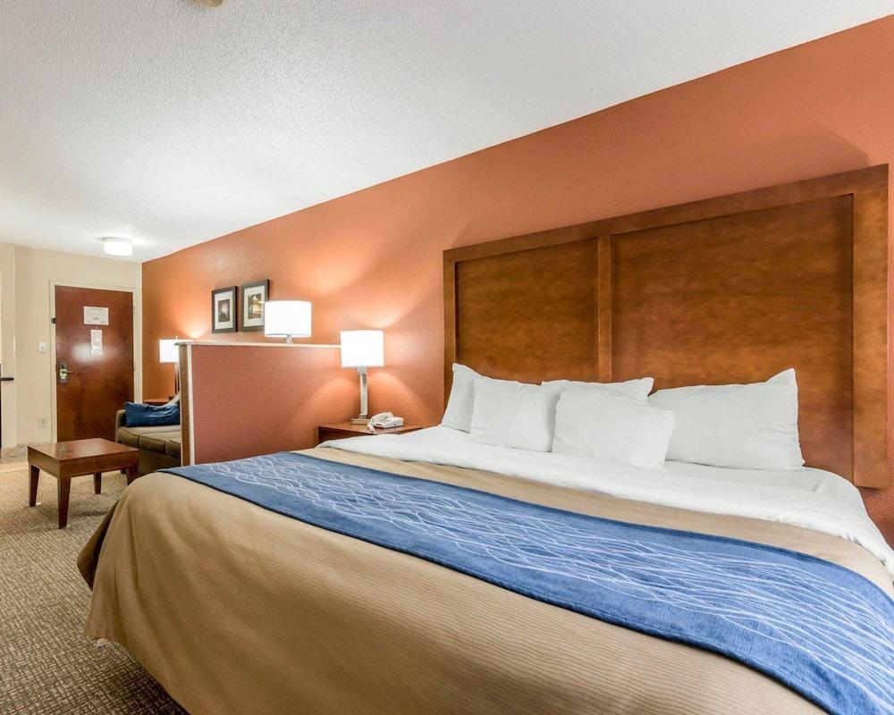 Comfort Inn Livingston